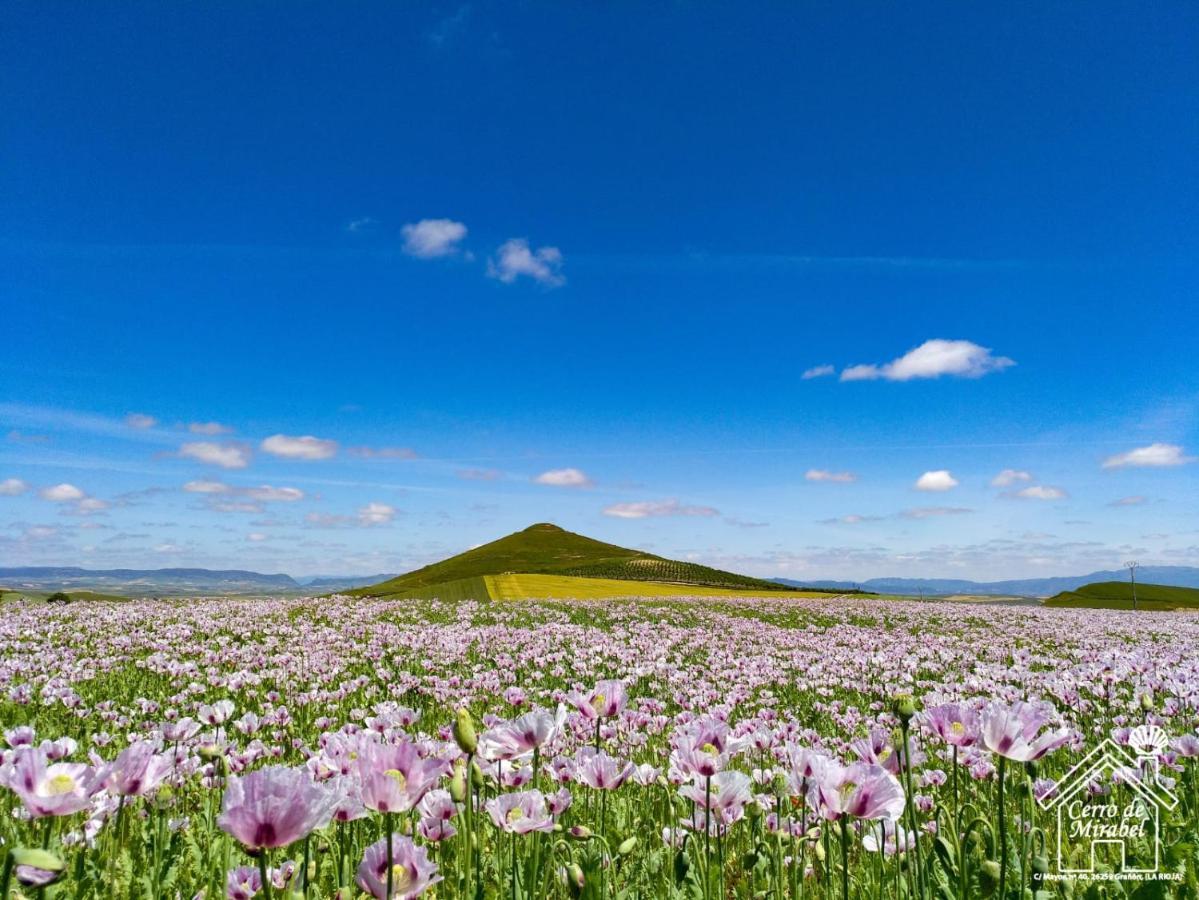 Gospodarstwo wiejskie Cerro De Mirabel Granon